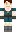 skin of a player