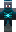 skin of a player