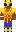 skin of a player