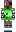 skin of a player