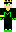 skin of a player
