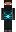skin of a player