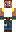 skin of a player