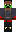 skin of a player