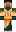 skin of a player