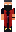 skin of a player