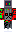 skin of a player