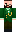 skin of a player