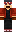 skin of a player