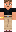 skin of a player