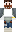 skin of a player