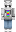 skin of a player