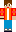 skin of a player