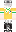 skin of a player