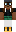 skin of a player