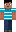 skin of a player