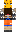 skin of a player