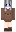 skin of a player