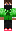 skin of a player