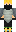 skin of a player