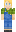 skin of a player