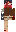 skin of a player