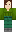 skin of a player