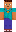 skin of a player