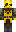skin of a player