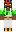 skin of a player