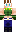 skin of a player
