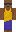 skin of a player
