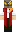 skin of a player