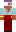 skin of a player