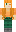 skin of a player