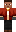 skin of a player