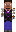 skin of a player