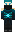 skin of a player