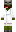 skin of a player