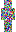 skin of a player