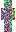 skin of a player