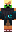skin of a player