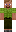 skin of a player