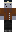 skin of a player