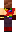 skin of a player
