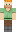 skin of a player