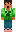 skin of a player