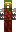 skin of a player
