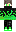 skin of a player