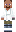 skin of a player
